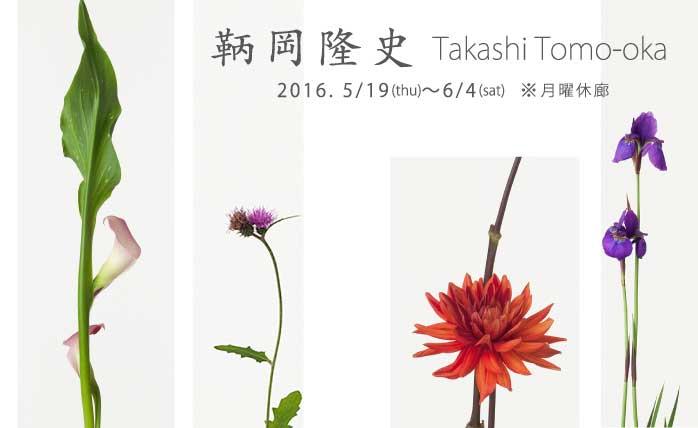 四季の花展