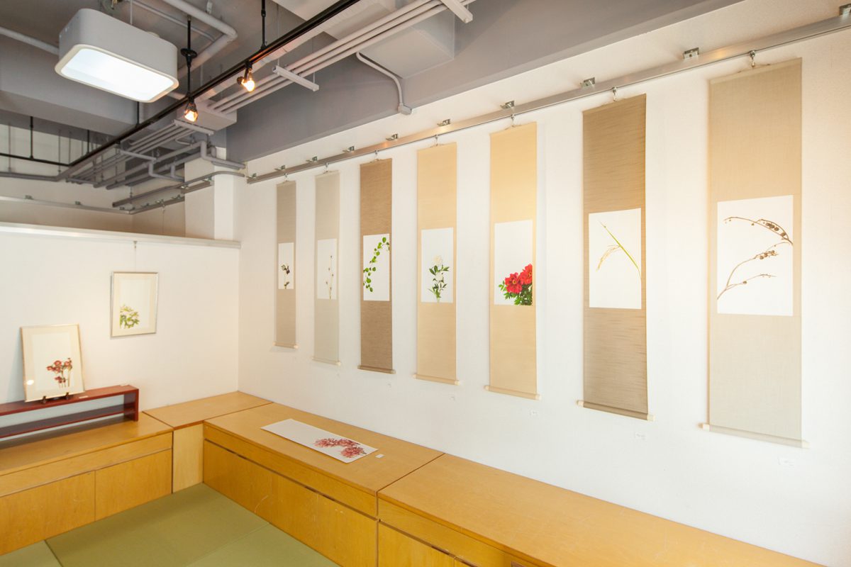 花木展