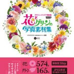 花とグリーンの写真素材集